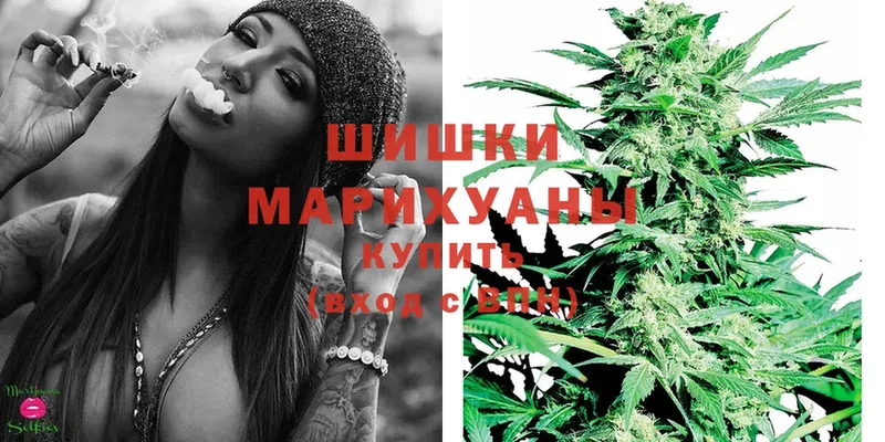 Бошки марихуана THC 21%  где найти   Бологое 